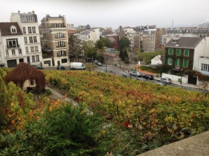 A reminder of the Montmartre vineyards.